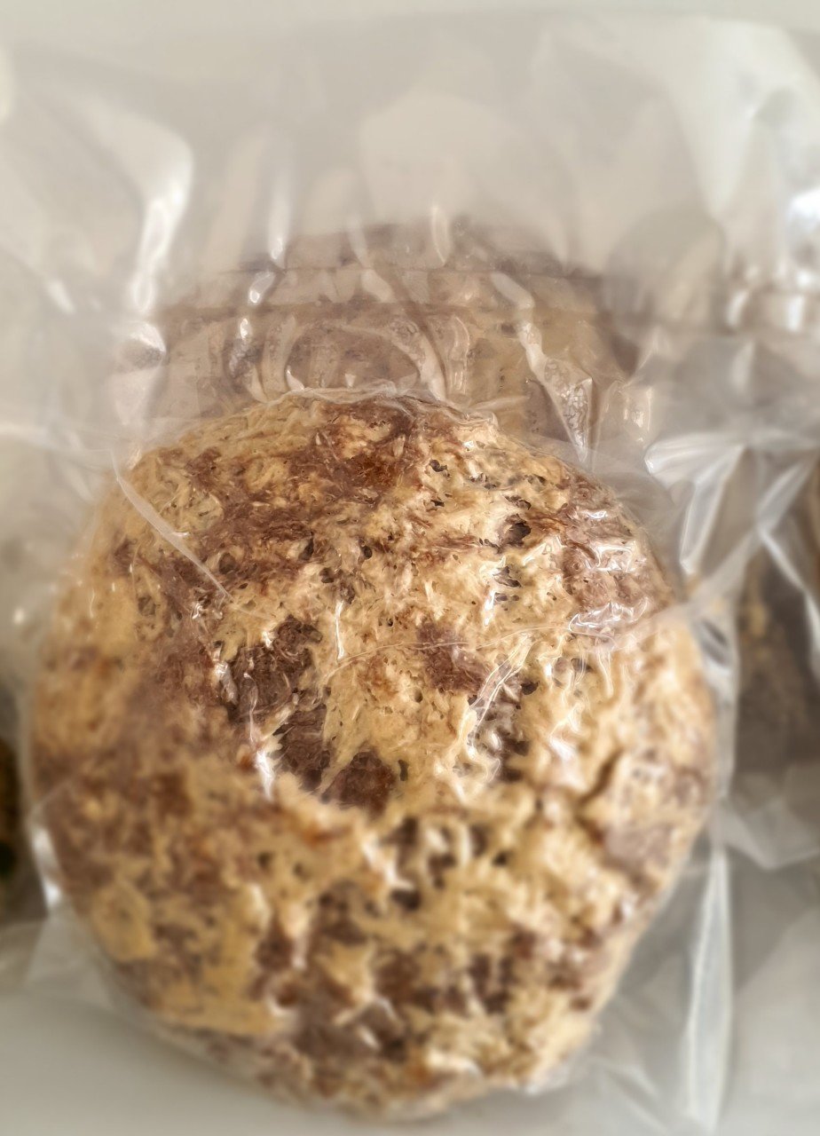 KAKAOLU KÜREK HELVASI 500GR